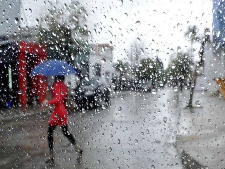 Foto. Cortesía de la web.