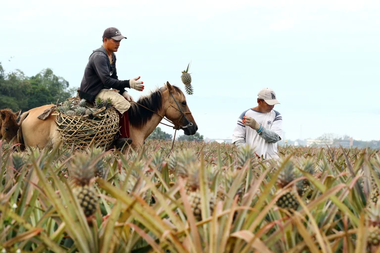 El mercado laboral en América Latina y el Caribe ha mejorado muy poco en los últimos 30 años